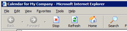Figure 8. Title in Internet Explorer